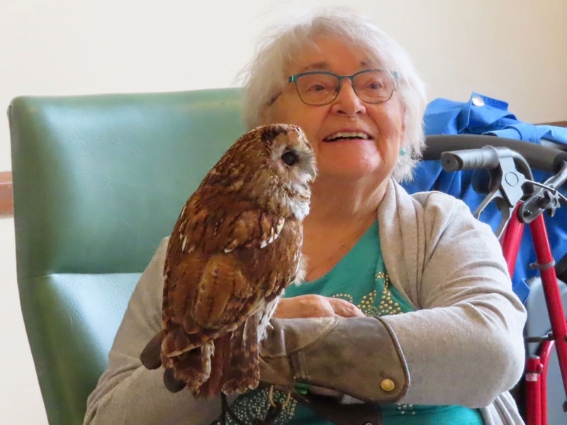 Age Concern St Albans